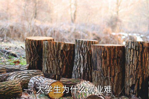 為什么大學生就業難朗咸平,為什么大學生就業越來越難