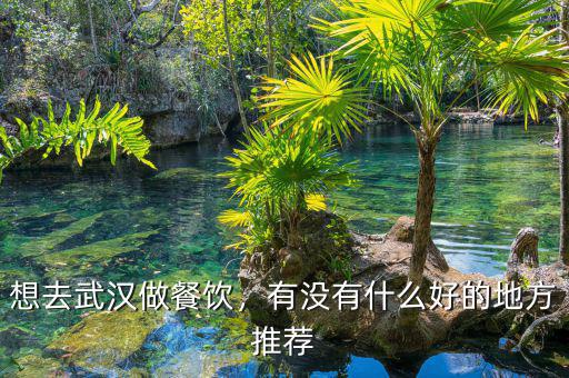 想去武漢做餐飲，有沒有什么好的地方推薦
