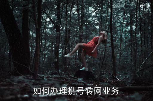 如何辦理攜號轉網業務