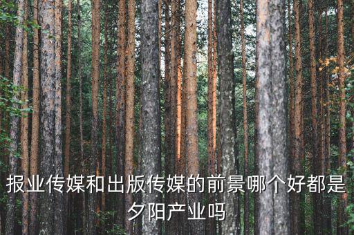 報業傳媒和出版傳媒的前景哪個好都是夕陽產業嗎