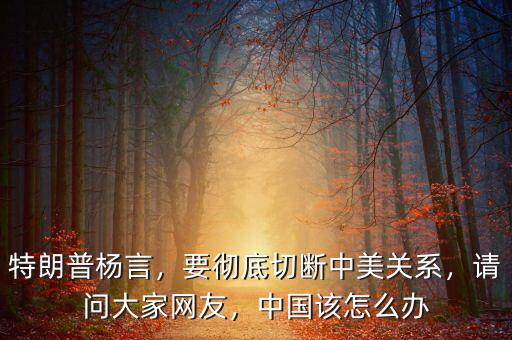 特朗普楊言，要徹底切斷中美關(guān)系，請(qǐng)問(wèn)大家網(wǎng)友，中國(guó)該怎么辦