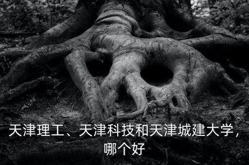 天津理工、天津科技和天津城建大學，哪個好
