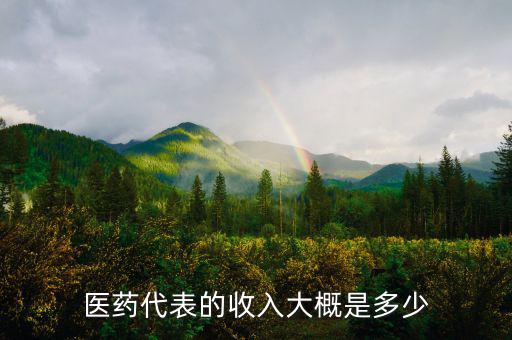 華仁藥業醫藥代表怎么樣,醫藥代表工作怎么樣