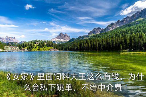 《安家》里面飼料大王這么有錢，為什么會(huì)私下跳單，不給中介費(fèi)