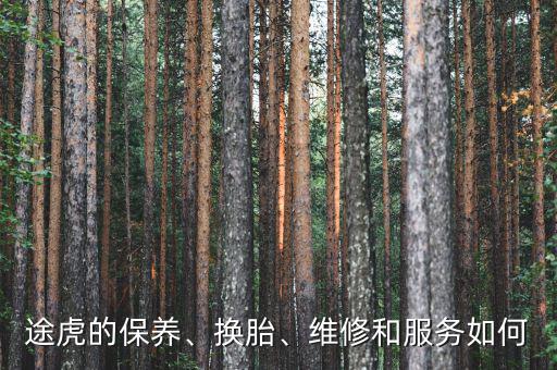 途虎的保養(yǎng)、換胎、維修和服務(wù)如何