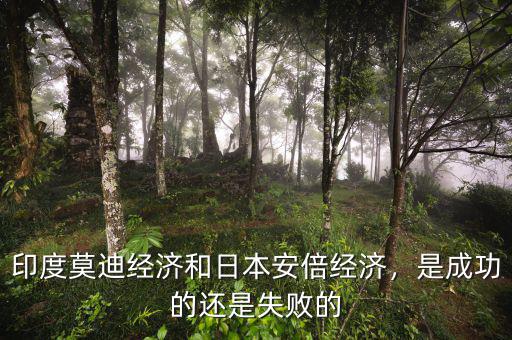 安倍經濟學是什么,是成功的還是失敗的