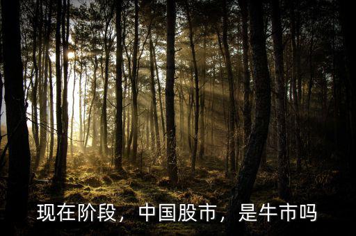 現在階段，中國股市，是牛市嗎