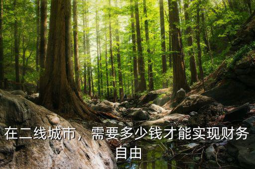 在二線城市，需要多少錢才能實現財務自由