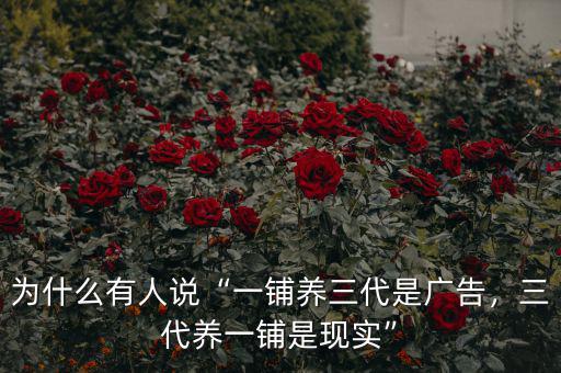 三代養一鋪是什么意思,一鋪養三代是什么意思