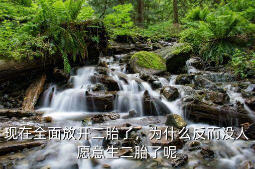 現在全面放開二胎了，為什么反而沒人愿意生二胎了呢