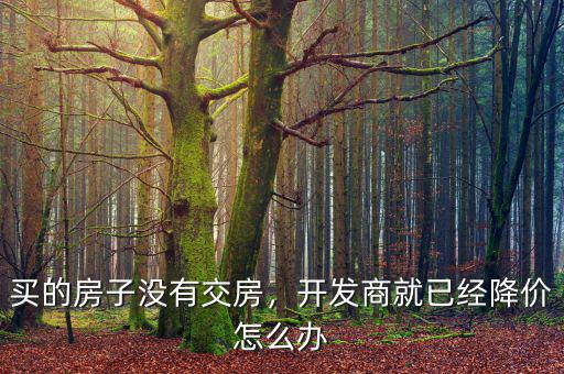 開發商降價業主怎么辦,開發商降價賣樓