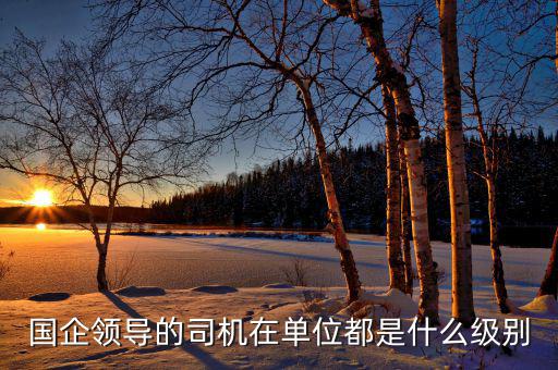 國企領導的司機在單位都是什么級別
