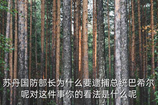 蘇丹國防部長為什么要逮捕總統巴希爾呢對這件事你的看法是什么呢