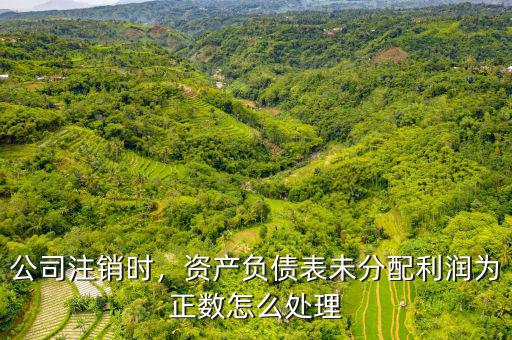 未分配利潤是正數什么意思,凈利潤是負數