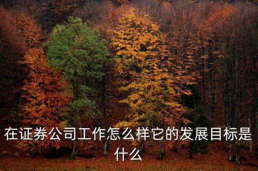 在證券公司工作怎么樣它的發展目標是什么