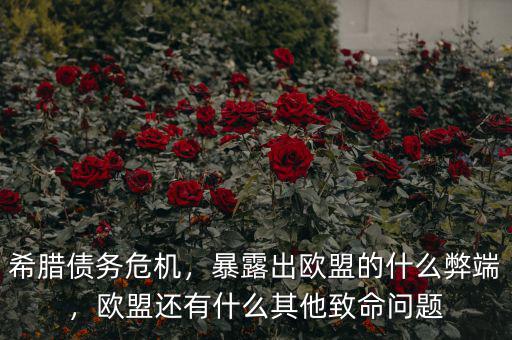 希臘債務(wù)危機(jī)，暴露出歐盟的什么弊端，歐盟還有什么其他致命問題