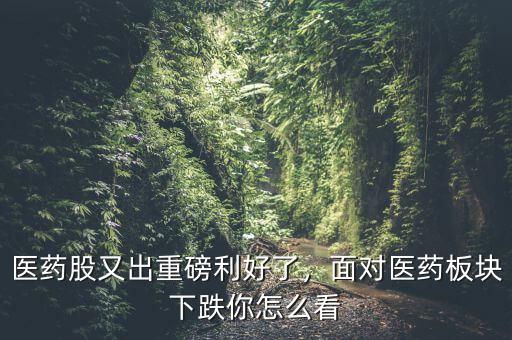 醫藥股又出重磅利好了，面對醫藥板塊下跌你怎么看