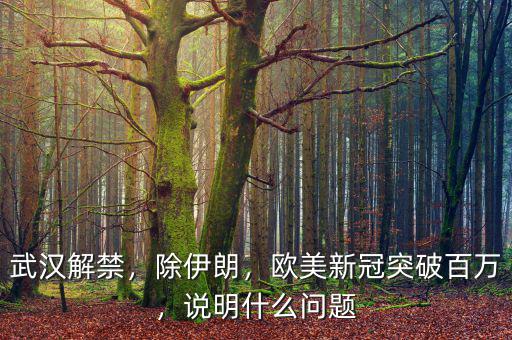 武漢解禁，除伊朗，歐美新冠突破百萬，說明什么問題