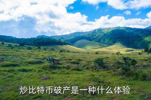什么是比特幣工廠,炒比特幣破產是一種什么體驗