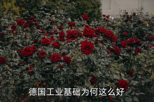 去德國工業什么好,德國工業基礎為何這么好