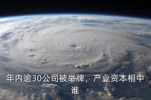 產業資本舉牌是什么意思,金融市場中舉牌是什么意思