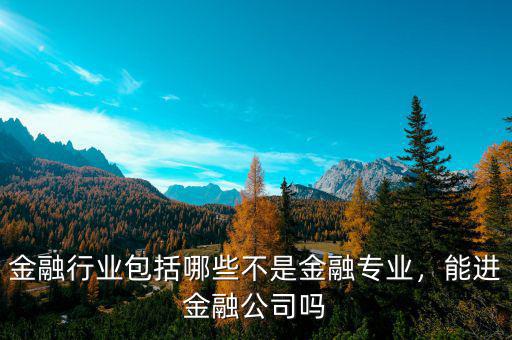 什么是金融行業,現階段的金融行業是什么樣