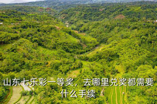 兌個福彩需要什么手續,需要什么手續