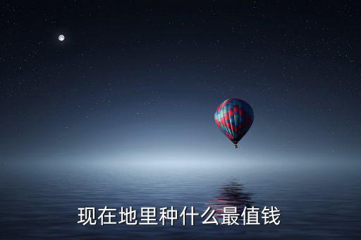 現在地里種什么最值錢