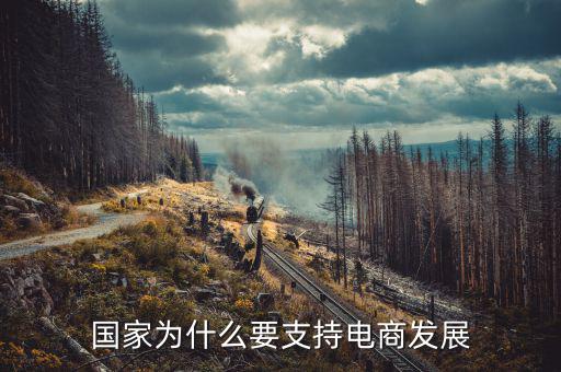 國家為什么不對電商收稅,為什么那么多發達國家