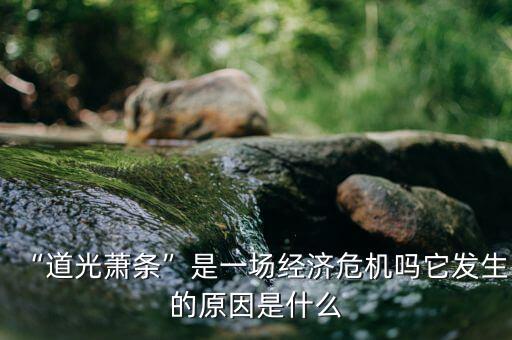 制造業蕭條是什么原因,道光蕭條是一場經濟危機嗎
