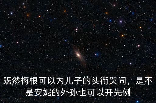 既然梅根可以為兒子的頭銜哭鬧，是不是安妮的外孫也可以開先例