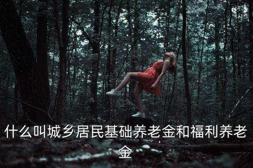什么叫城鄉居民基礎養老金和福利養老金