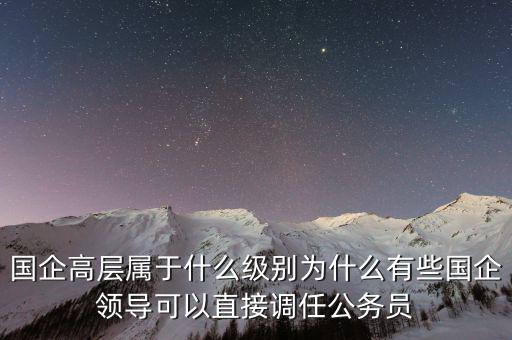 國企高層屬于什么級別為什么有些國企領導可以直接調任公務員