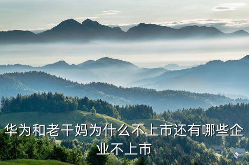 萬國數據為什么不上市,華為和老干媽為什么不上市