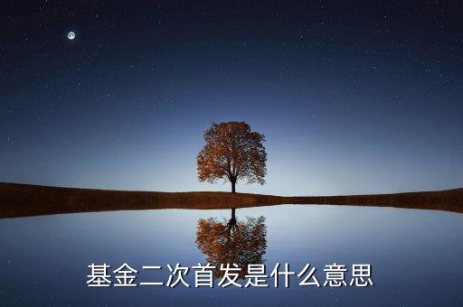 基金二次首發是什么意思