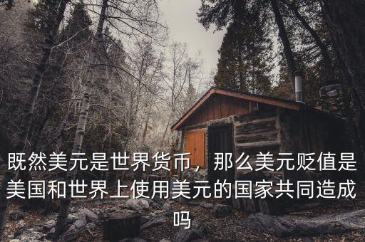 既然美元是世界貨幣，那么美元貶值是美國(guó)和世界上使用美元的國(guó)家共同造成嗎