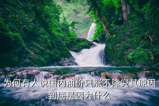 為什么中國油價不降,為何有人說國內油價只漲不降