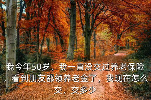 50歲怎么交養老保險,我現在怎么交