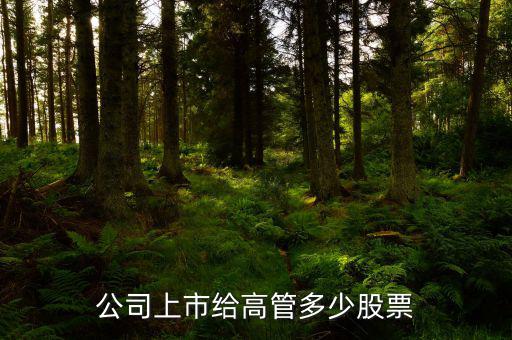菲尼薩給員工配多少股票,員工給多少股權合適