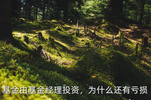 基金由基金經理投資，為什么還有虧損