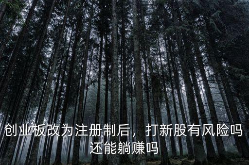 創業板股票有什么風險,創業板買入有什么風險