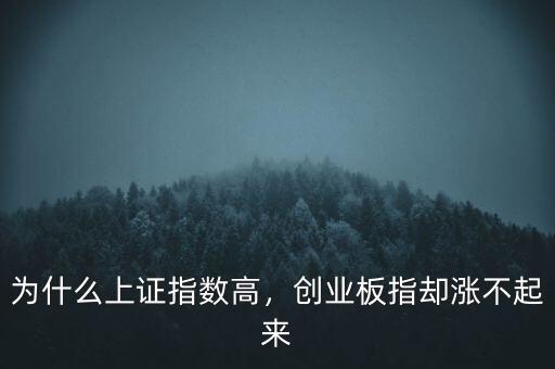 為什么上證指數(shù)高，創(chuàng)業(yè)板指卻漲不起來(lái)