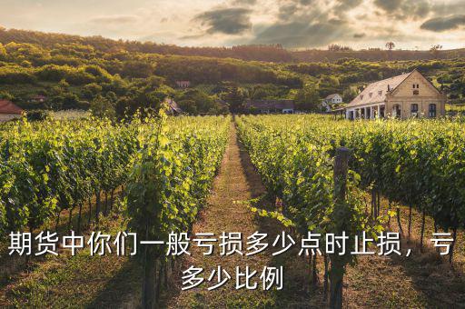 期貨中你們一般虧損多少點時止損，虧多少比例