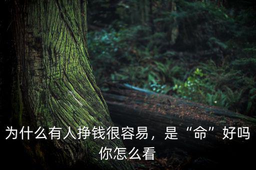 為什么有人掙錢很容易，是“命”好嗎你怎么看