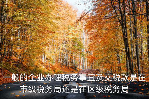 一般的企業辦理稅務事宜及交稅款是在市級稅務局還是在區級稅務局