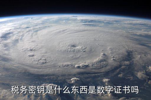 稅務密鑰是什么東西是數字證書嗎