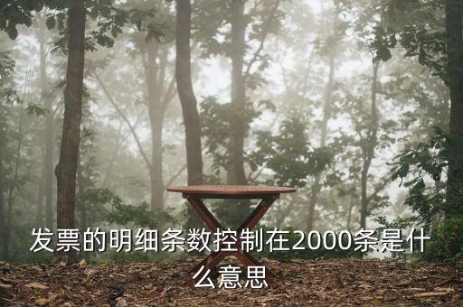 發票明細什么意思，發票的明細條數控制在2000條是什么意思