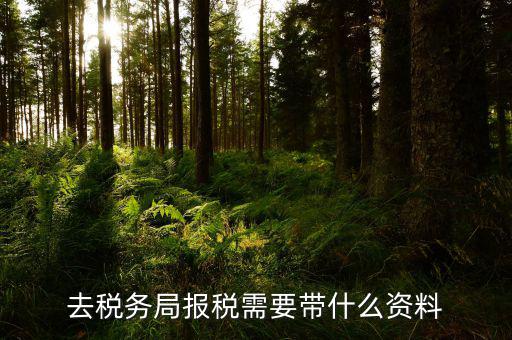 區(qū)國稅局申報(bào)需要什么，去稅務(wù)局營業(yè)大廳申報(bào)納稅需要帶哪些材料