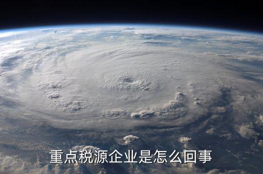 什么是重點稅源企業，重點稅源是什么