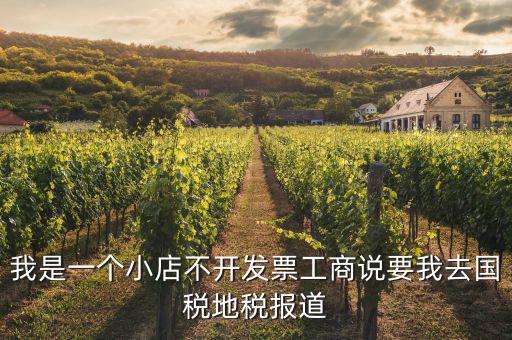 我是一個小店不開發票工商說要我去國稅地稅報道